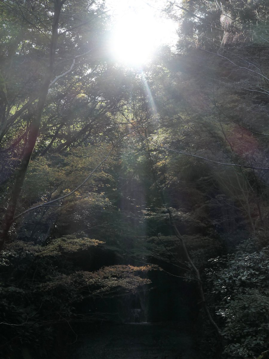 ねこ (@nekonekonuko777) on X