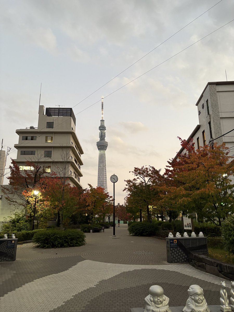 _m_3454's tweet image. 引越しの日が近づいてきて、寂しくなって息子と近所をお散歩。
引越し後も月１では来るけど、一番長く住んだ地域なのでやっぱり寂しい。