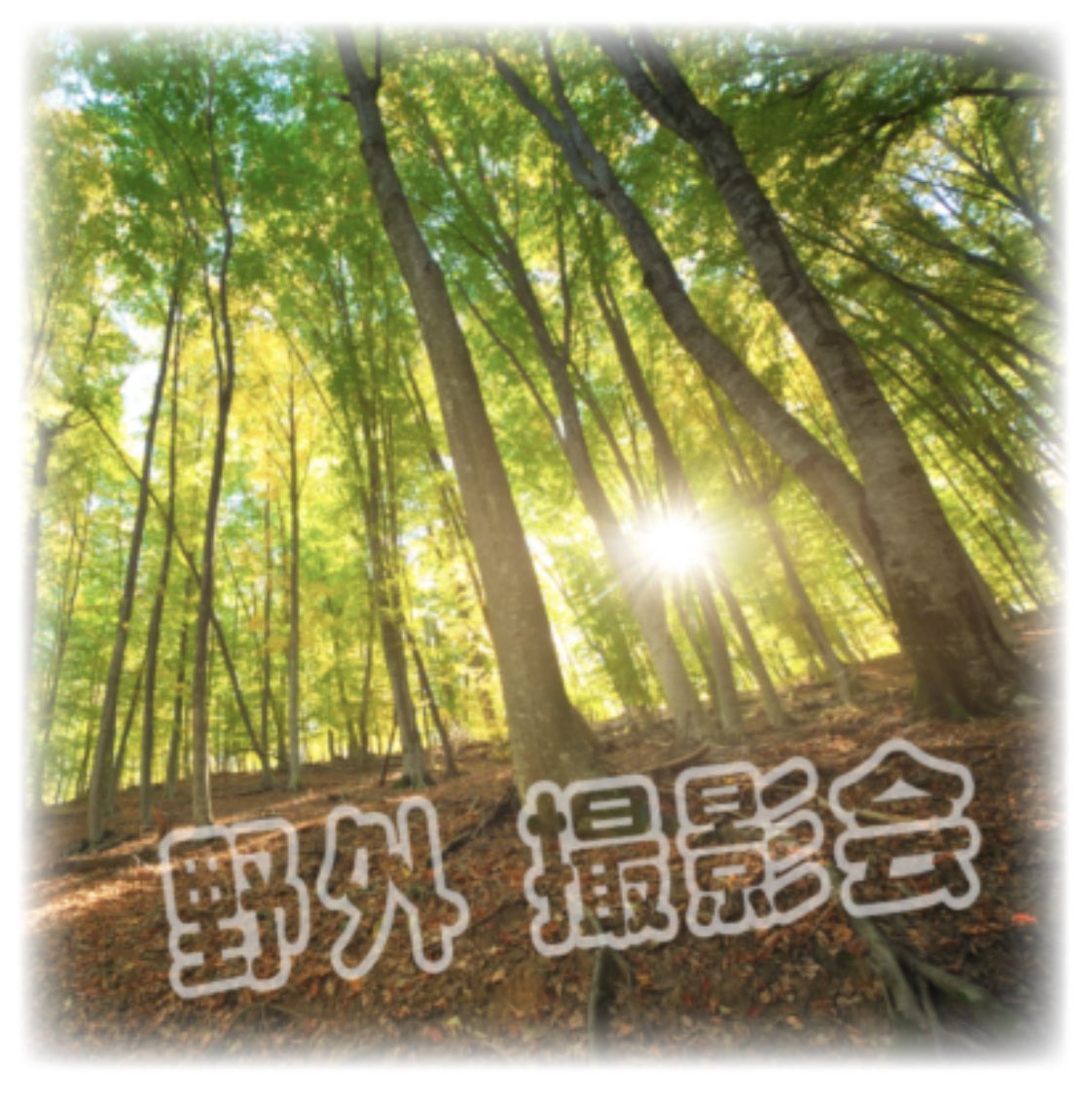 Punam_kanda's tweet image. 日曜日のライブと撮影会です💚

NYAAANYA入場特典あります!
ALT見てください🐱