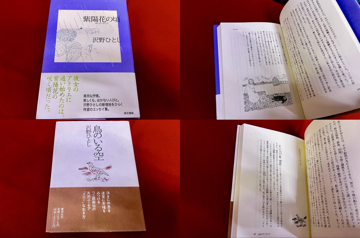 紫陽花の頃 沢野ひとし 鳥のいる空 沢野ひとし 沢野ひとしのふらふら