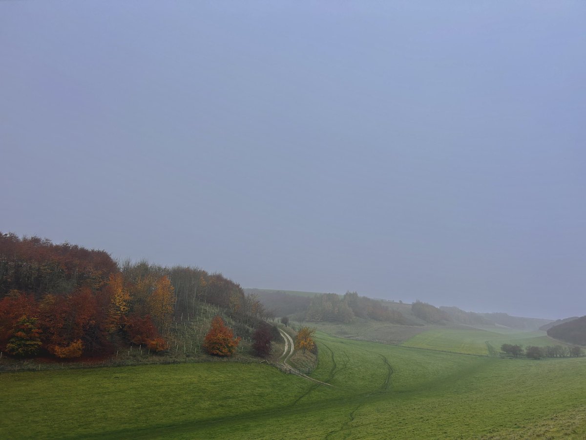 WeatherWolds's tweet image. Wet And Windy. 8°C with heavy rain. Geese.