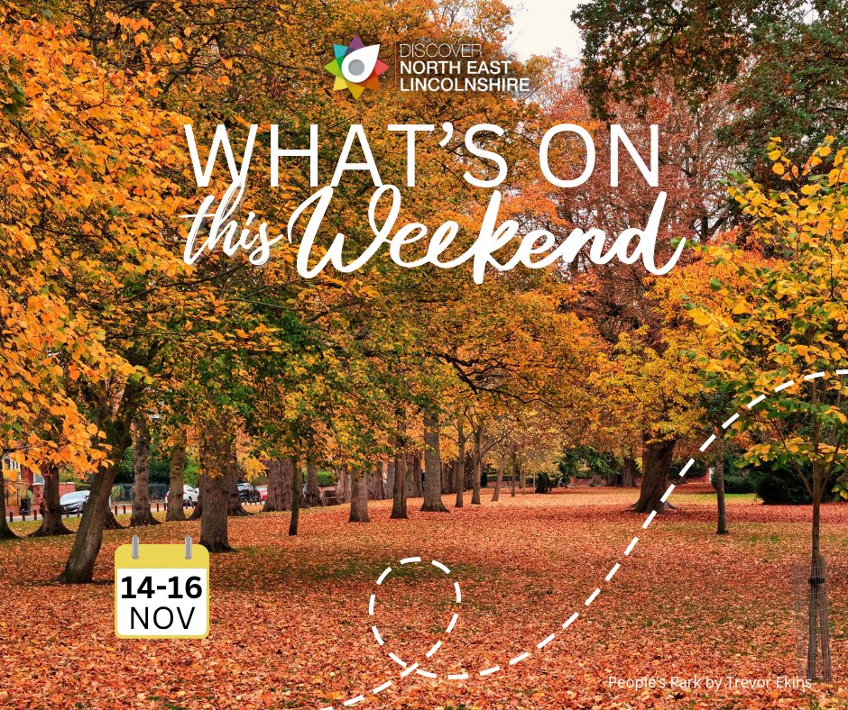 DiscoverNEL tweet media