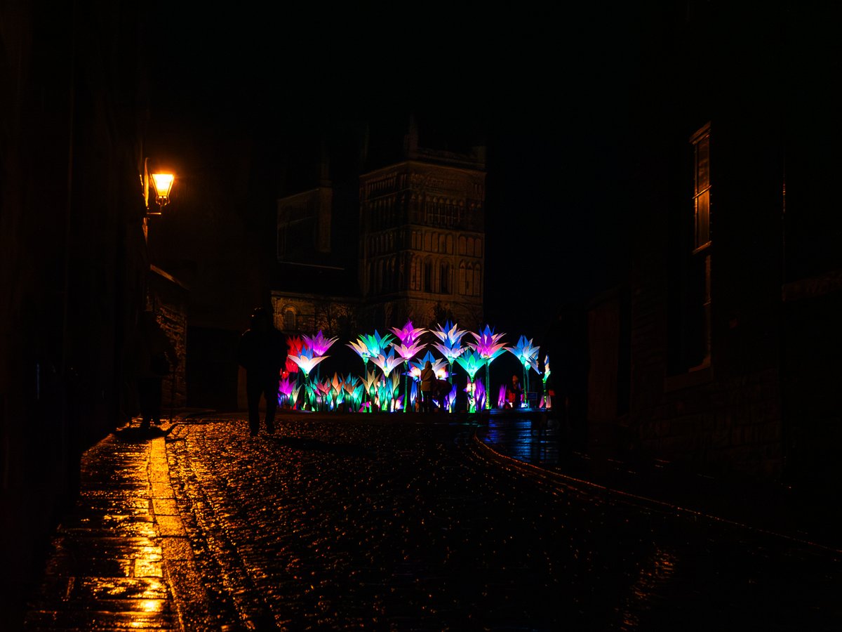 ace_thenorth's tweet image. 💡It&apos;s @LumiereDurham this weekend!

 The shots from Thursday&apos;s premiere are great 👏🤩

#ACEsupported

📸Matthew Andrews, Kevin Edworthy