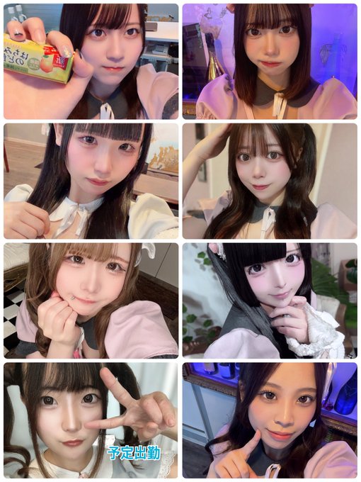 ~メイド喫茶~曖昧Aliceのツイート