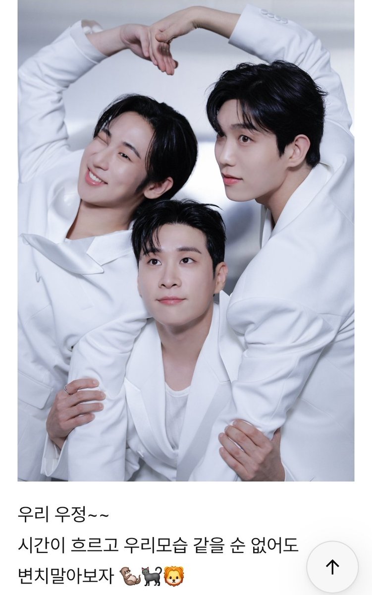붓 tweet media