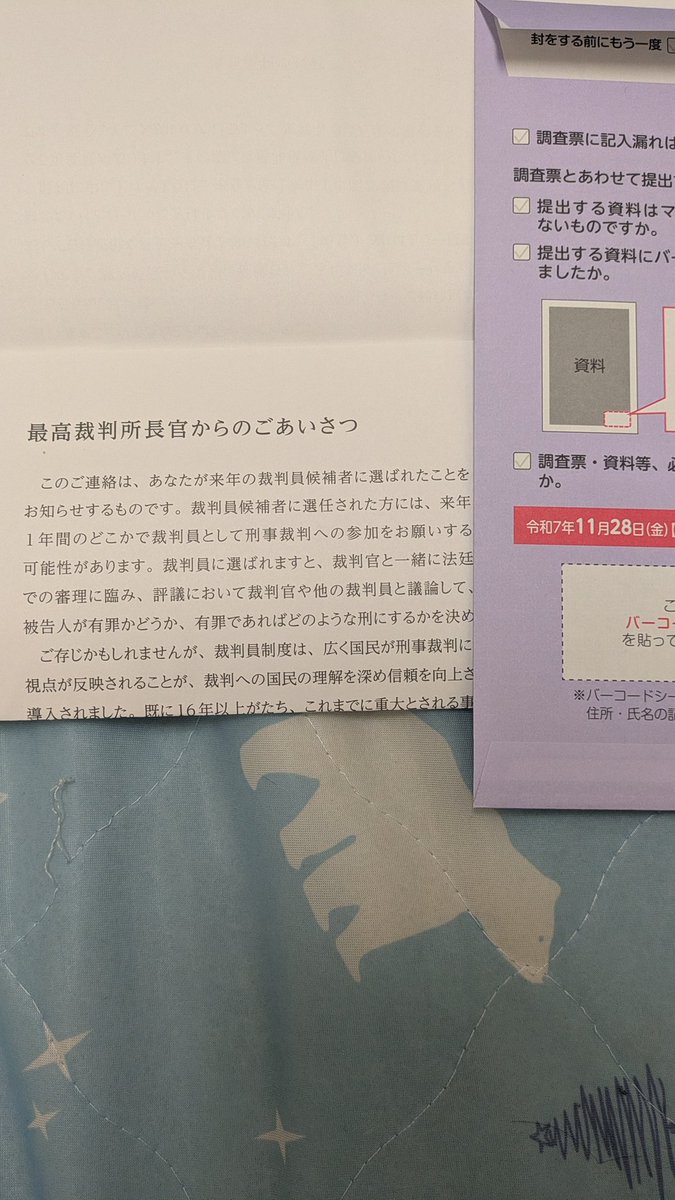 kegomu's tweet photo. Switch2の抽選は当たらないのに裁判員の抽選には当たったわ、IQ3の私を選ぶとは、国もなかなか見る目があるね（） https://t.co/4Ll8iu2XzC