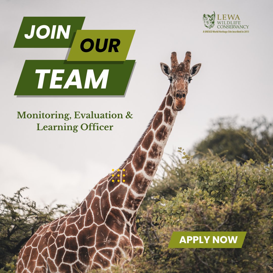 LewaConservancy's tweet image. Lewa Wildlife Conservancy is seeking a Monitoring, Evaluation &amp;amp; Learning (MEL) Officer  to strengthen our programmes and impact. 

📌 Apply now and help drive conservation impact: 

bit.ly/4oHpwJC

#IkoKazi #MEL #DataForGood #LewaConservancy #Wildlife
