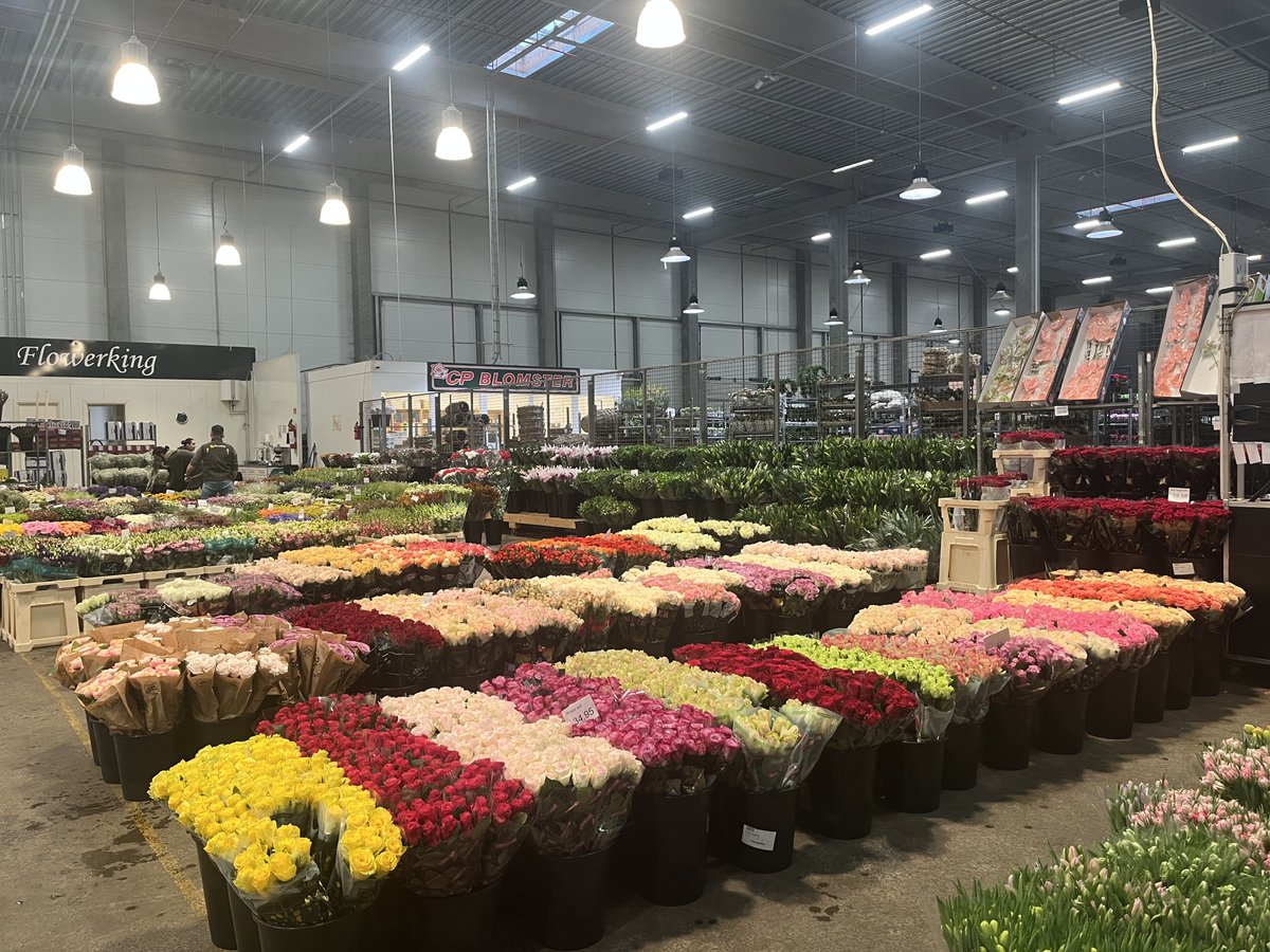 Denmark mobility 🇩🇰✨ Our floristry &amp; horticulture students improved floral and sustainable skills at Blomsterskolen Vilvorde in Roskilde and explored Danish culture. More: bc-naklo.si/akreditacija-v… #BCNaklo #erasmusplus #VETaccreditation