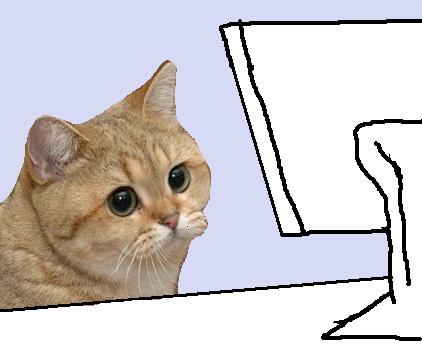 My face everytime <a href="/a1lon9/">alon</a> tweets