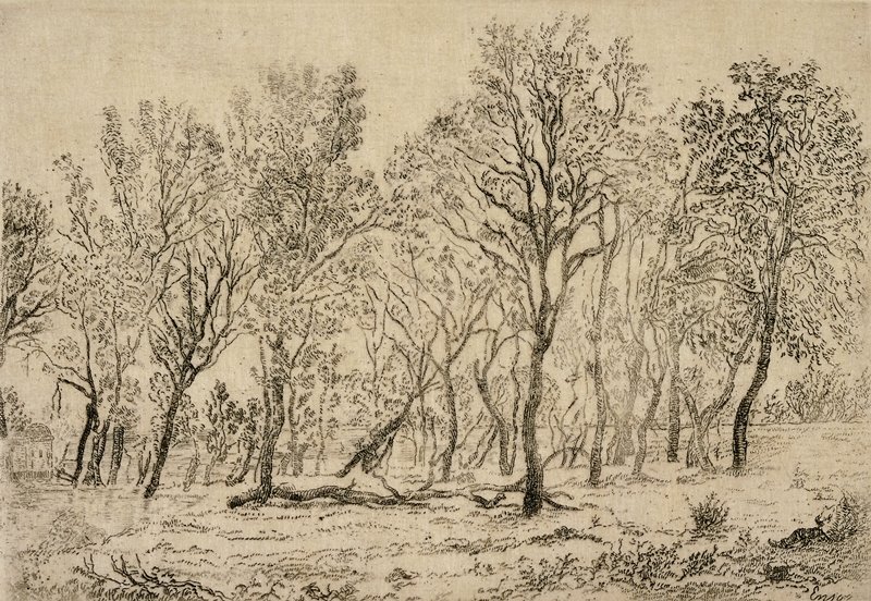 ArtistEnsor's tweet image. Bouquet d&apos;Arbres #artbots #ensor