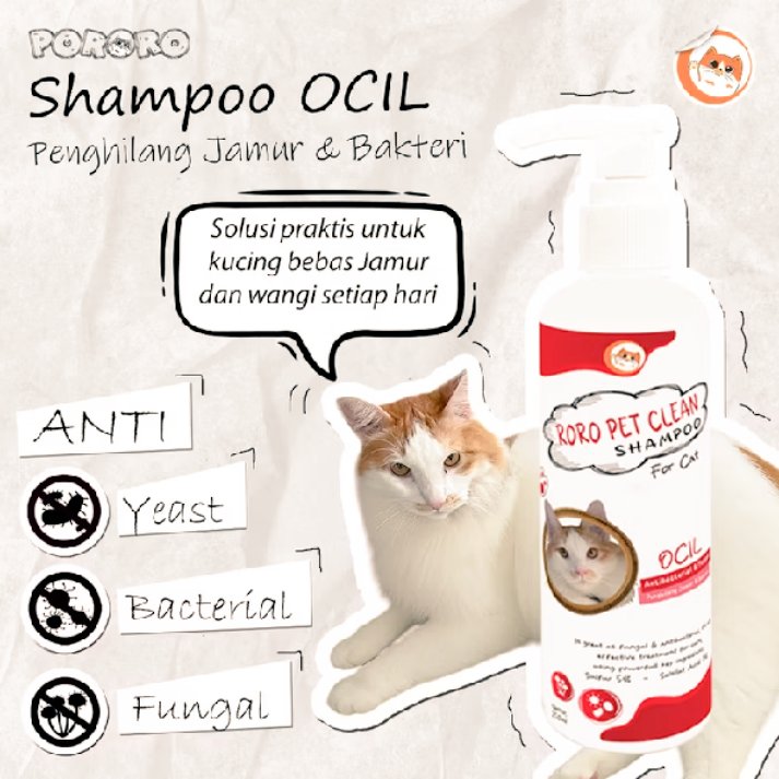 FahrulJan's tweet image. ✨ Untuk semua Pawrent yg sayang bgt sama anabulnya, ada produk bundling nih dari bang roro. Ayo kak di cek dulu! ✨

| #pawrent #anabul #catlover #kucingpororo #abangroro #musthave2025 #jakarta #indonesia 
| s.shopee.co.id/40YgaCM2C4 ☑️🛒