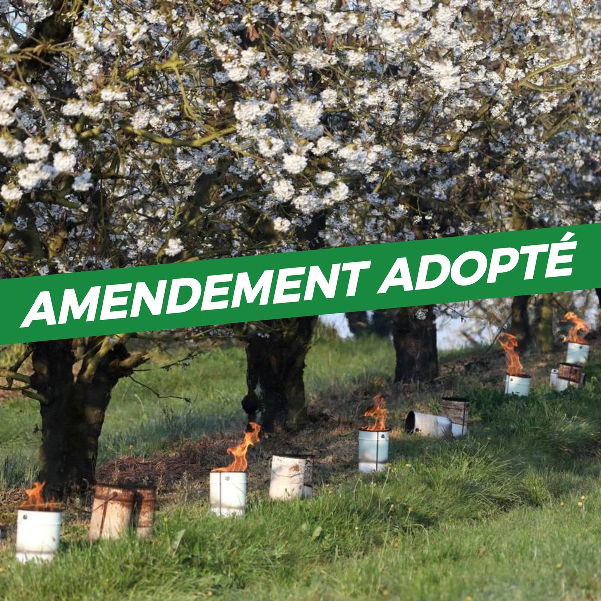 ✅🗳️ Une nouvelle victoire pour nos agriculteurs ! Mon amendement visant à porter de 150 000€ à 250 000€ le plafond pluriannuel de la déduction pour épargne de précaution a été adopté. 

➡️ Ce dispositif est important pour permettre aux agriculteurs de constituer une épargne
