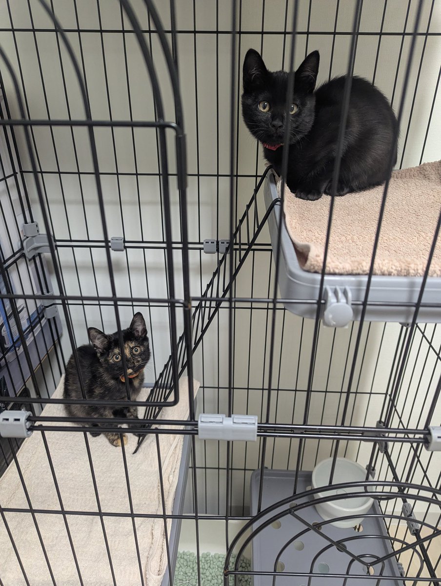 かずまる (@kazmaru_son) / Posts / X