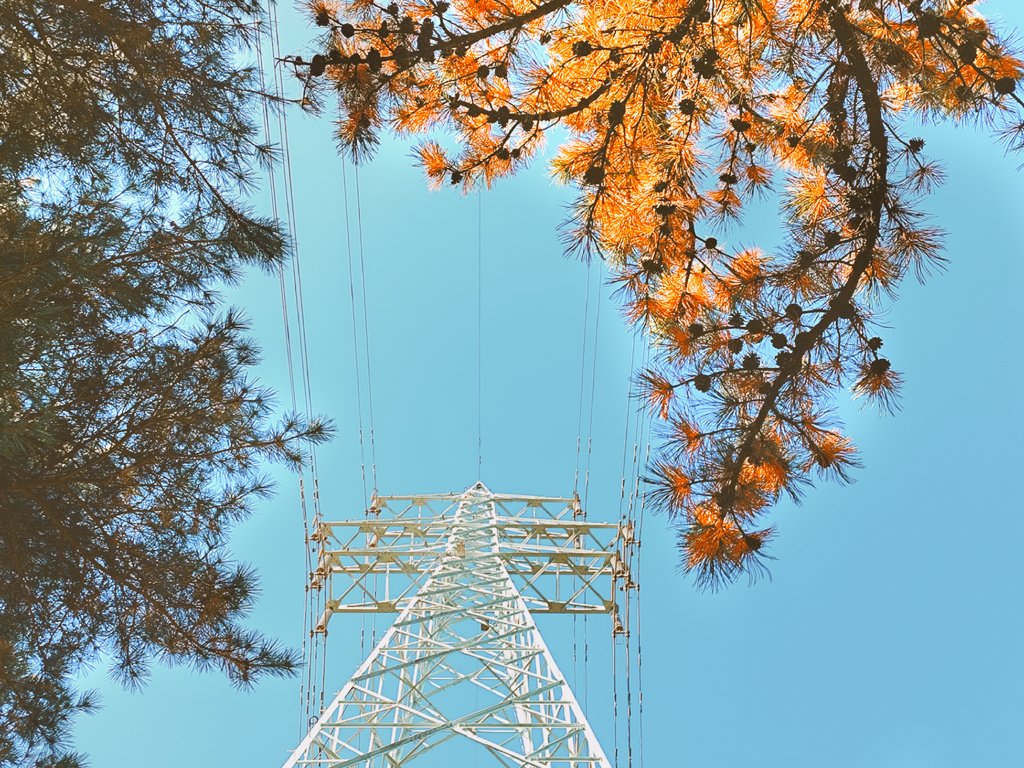 falsevalues's tweet image. на подзарядке