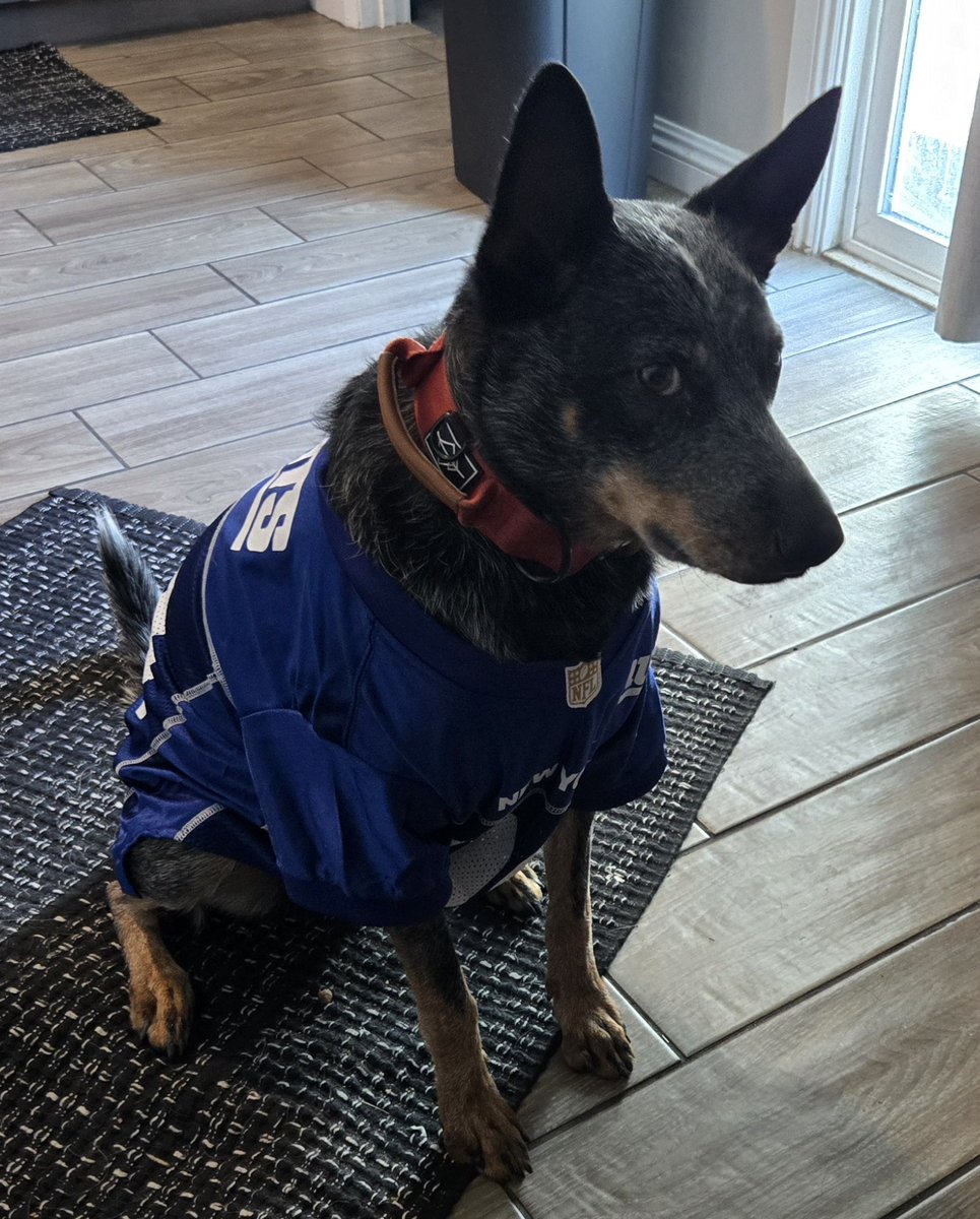 KidAmnesiac's tweet photo. @EliManning I figured i should also add...this guy's name is Eli too! https://t.co/JvDmB4QE7Q