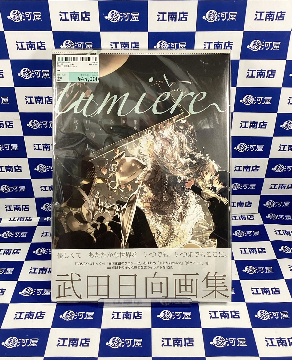 📢#駿河屋 #江南 店 入荷情報📢】 『武田日向 画集 lumiere』 GOSICK