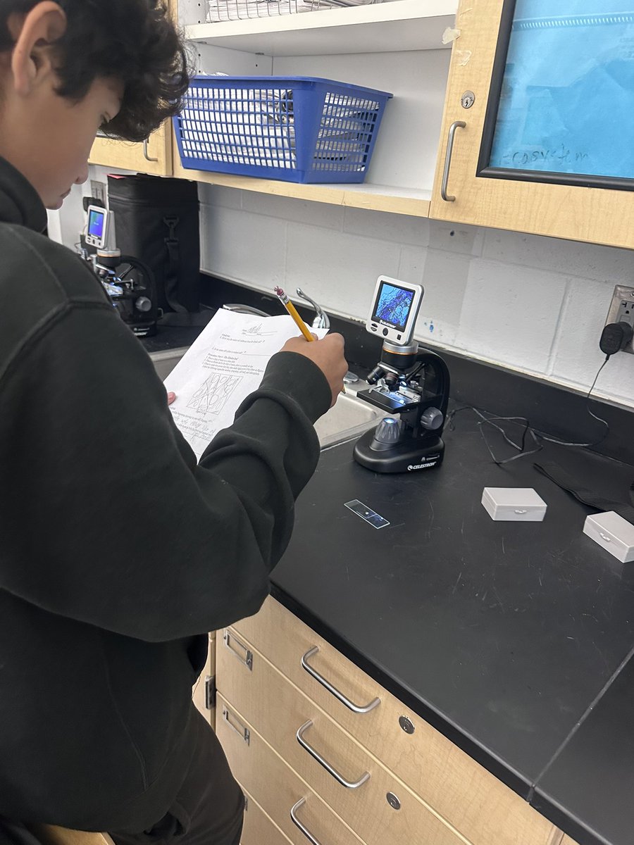 Candice0176's tweet image. Microscope work continues as we make our own wet mount slides - the infamous “e” and onion - next up cheek cell. #scienceisfun