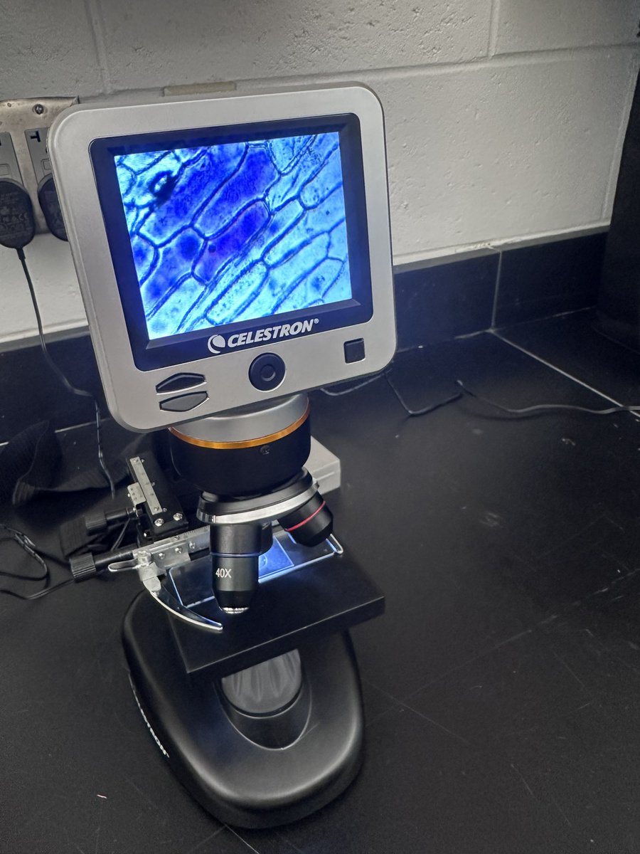 Candice0176's tweet image. Microscope work continues as we make our own wet mount slides - the infamous “e” and onion - next up cheek cell. #scienceisfun