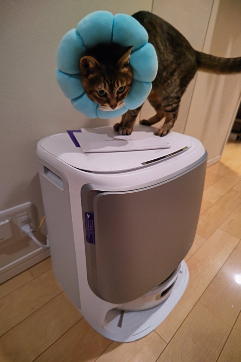 gou_gou777's tweet image. 今週末届いたのはNarwal Flow ロボット掃除機
しっかりとスーリィ🐱チェックが入ります✅
設置して充電開始🔌アプリ連携まで完了したので、動かすのは昼間にしよう
#NarwalFlow #ロボット掃除機
