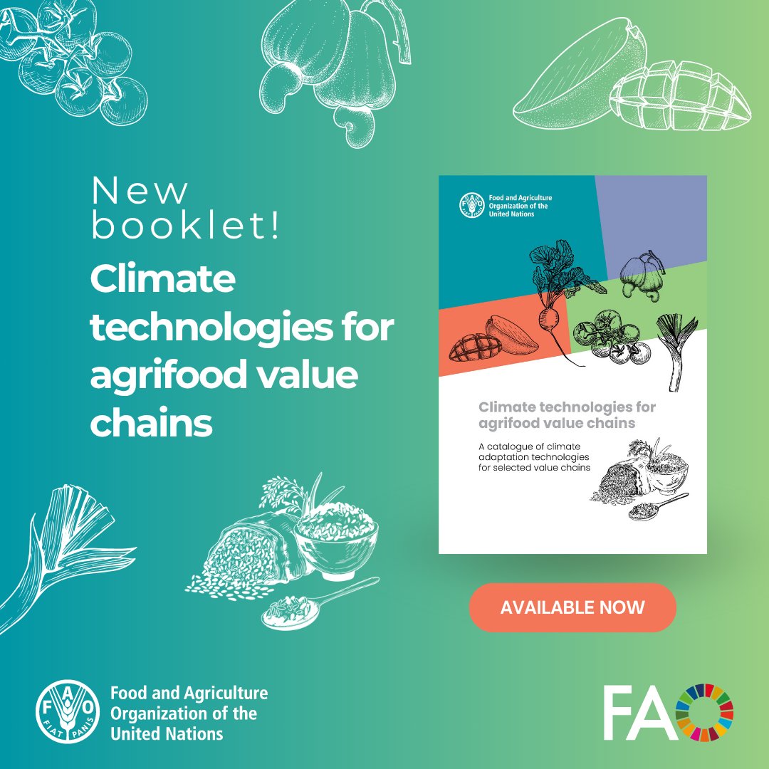 📢Climate technologies are a key driver of agrifood systems transformation!

NEW <a href="/FAO/">Food and Agriculture Organization</a> publication presents potential climate adaptation technologies based on a set of selected agrifood value chains &amp; reported needs of the value chain actors in the field.

doi.org/10.4060/cd5485…