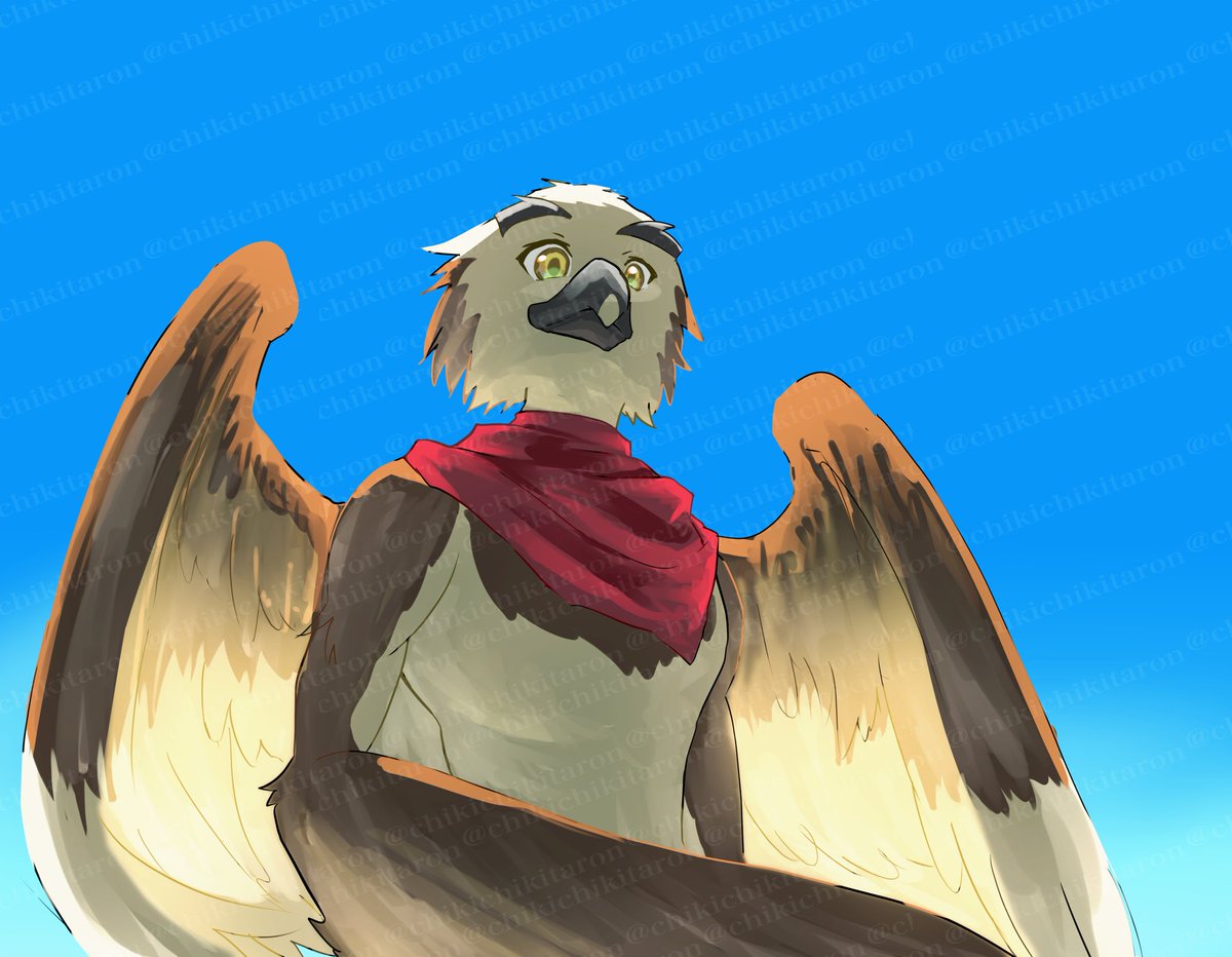 チキン太郎（CHICKENTaro） (@chikichikitaron) on Twitter photo 