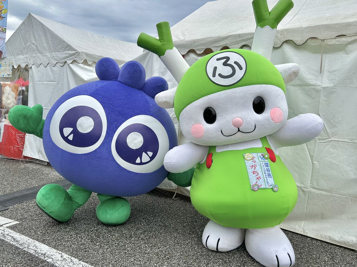 ふっかちゃん応援ぷろじぇくと（FOP） (@fukkachanpr) / Posts / X