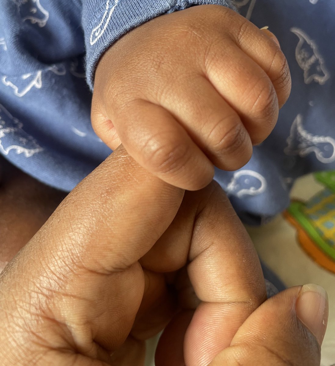 hellofunmito's tweet image. 🩵