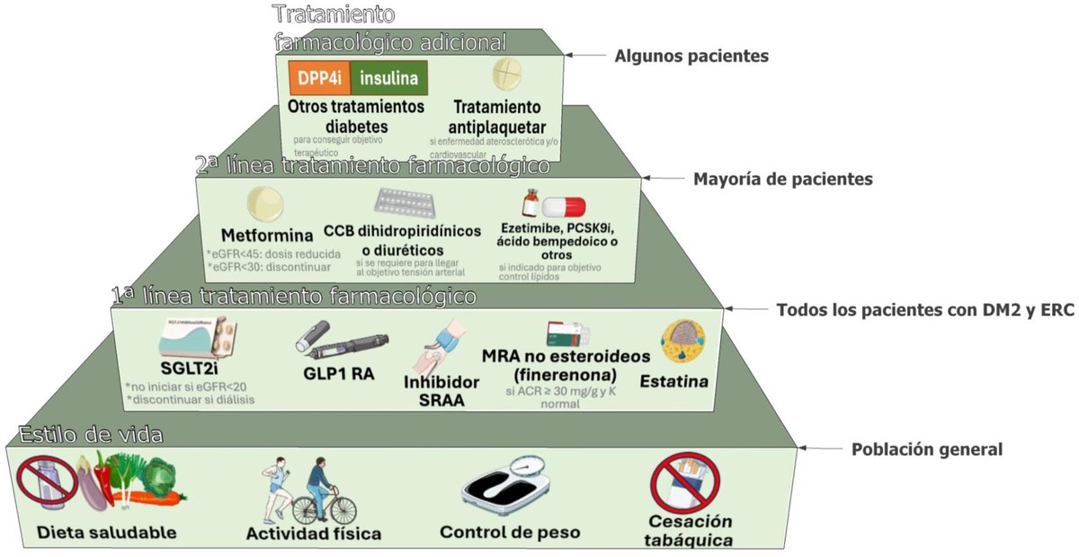 🚀🚀En el #DíaMundialdelaDiabetes, compartimos la GUÍA de práctica clínica sobre detección y manejo de la enfermedad renal diabética #GEENDIAB 2025

👉revistanefrologia.com/es-vol-45-num-… | En #RevistaNefrología
<a href="/nuria_montero_p/">Núria Montero</a> <a href="/jlgorriz/">Jose Luis Górriz</a> <a href="/beaff26/">Beatriz Fernandez Fernandez</a> <a href="/PepaSolerR/">Maria Jose Soler</a>
<a href="/ClaraGCarro/">Clara García Carro</a> <a href="/chuspuchades/">Maria Jesus Puchades</a>