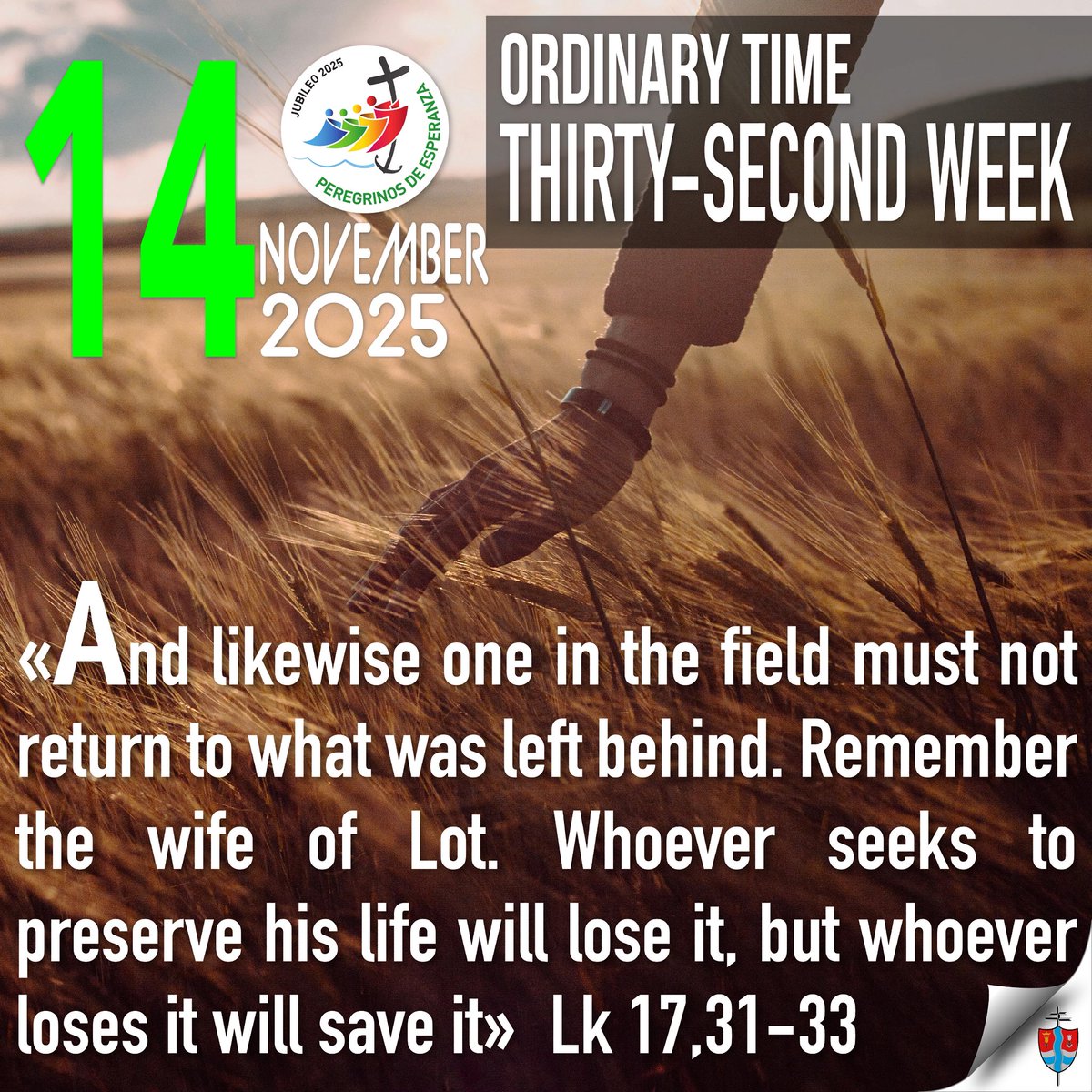 padrebernales's tweet image. 🟢 A little bit of Gospel•Thirty-Second Week in Ordinary Time

#OrdinaryTime #Gospel #DailyReadingsBible