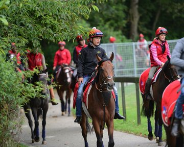 shenengu82971's tweet photo. @FellowesRacing @BRSNewmarket Just a big shout out to horse trainer Charlie Fellowes. Last week i wrote an email raising one pertinent issue. Charlie was kind enough to respond promptly - with some insights into the world of horse racing. Head bowed. Thanks Charlie https://t.co/AIjEsZ6hVk