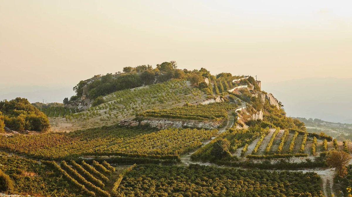 Peak expressions from vineyards at mountain tops - #KateLofthouse was on the lookout for interesting ine expressions from the island’s local grapes...and did she find them 👏🍷

Recommendations bit.ly/3XqgZi6 Insightful tastes <a href="/CyprusWines/">Cyprus Wines</a> <a href="/CyprusVineyards/">Ungrafted Cyprus</a> #cypruswine