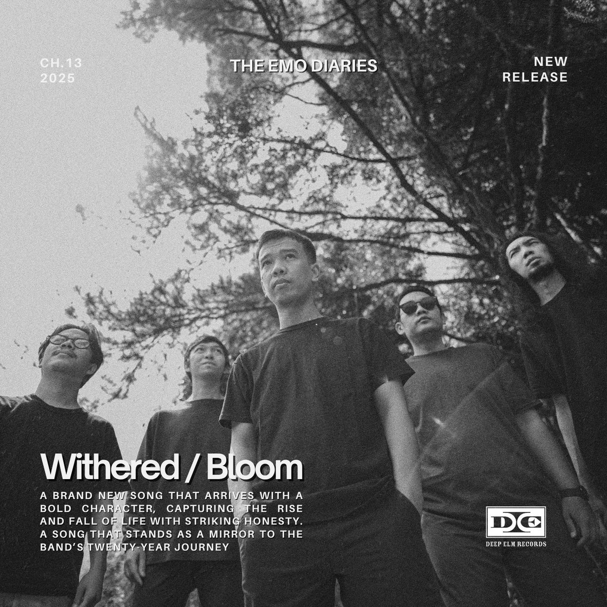 sadstory on sunday tweet media