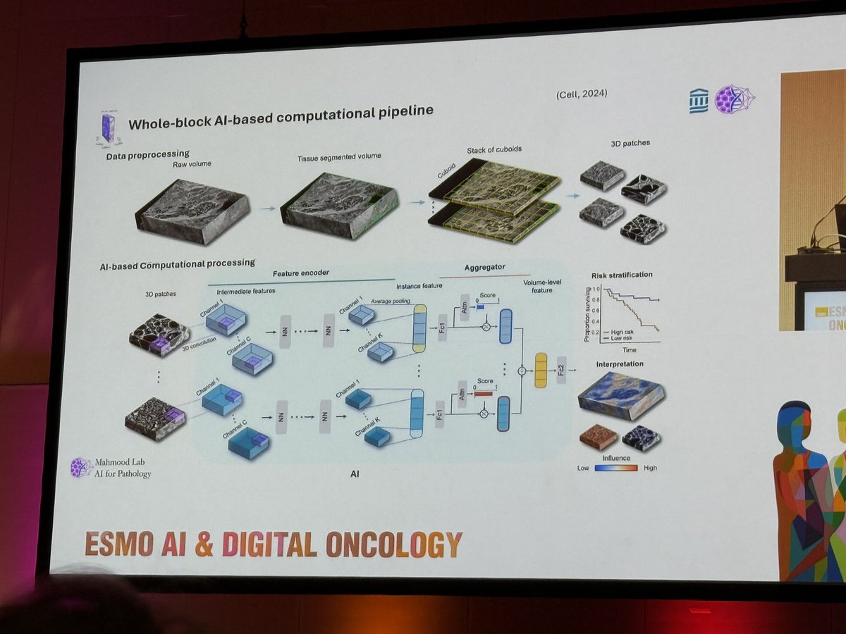 Evelyn Wong tweet media