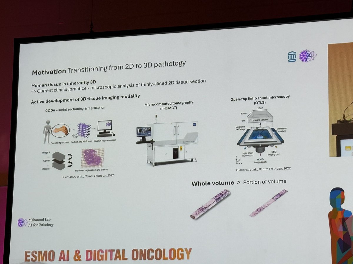 Evelyn Wong tweet media