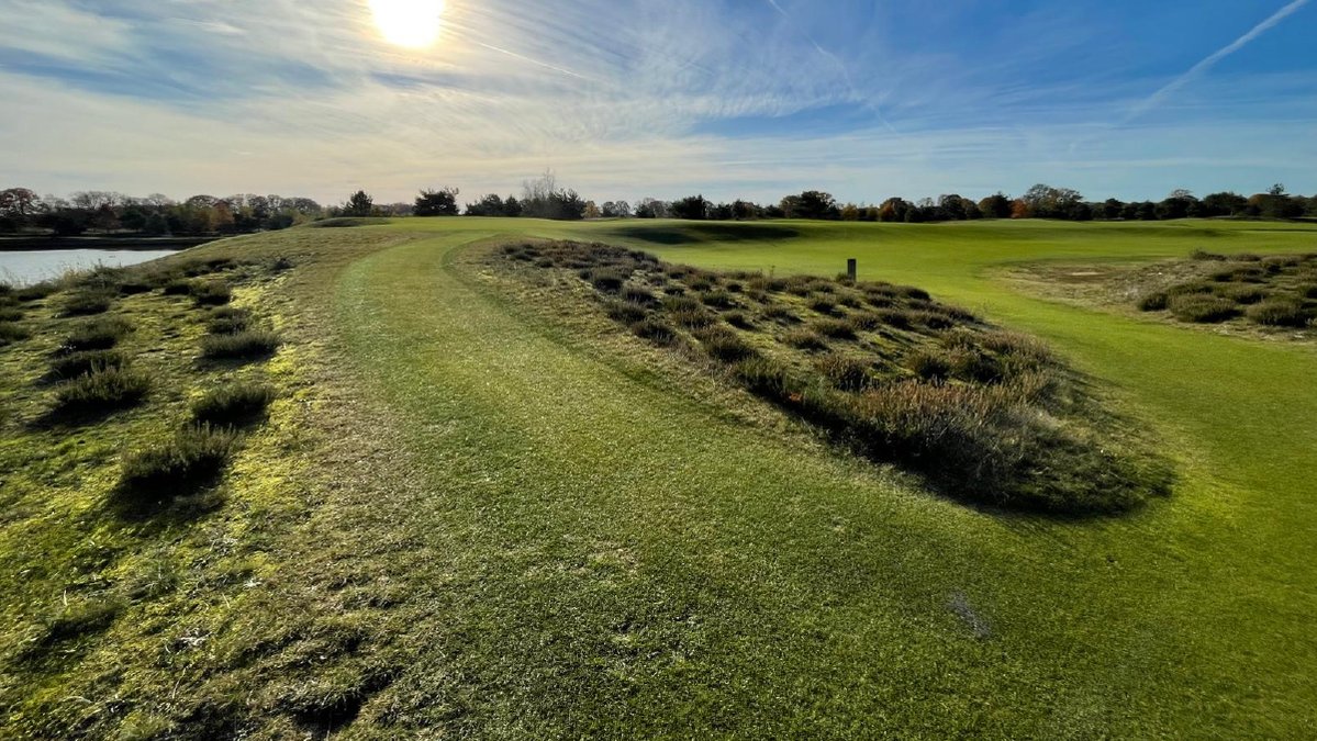 BarenbrugUK's tweet image. Our #Amenity team recently organised a customer visit to @BarenbrugNL, including a tour of our #ResearchAndDevelopment, distribution warehouse, and wider facilities.

The trip wrapped up with an exceptional visit to @BernardusGolf as they prepare for next year’s @TheSolheimCup —…