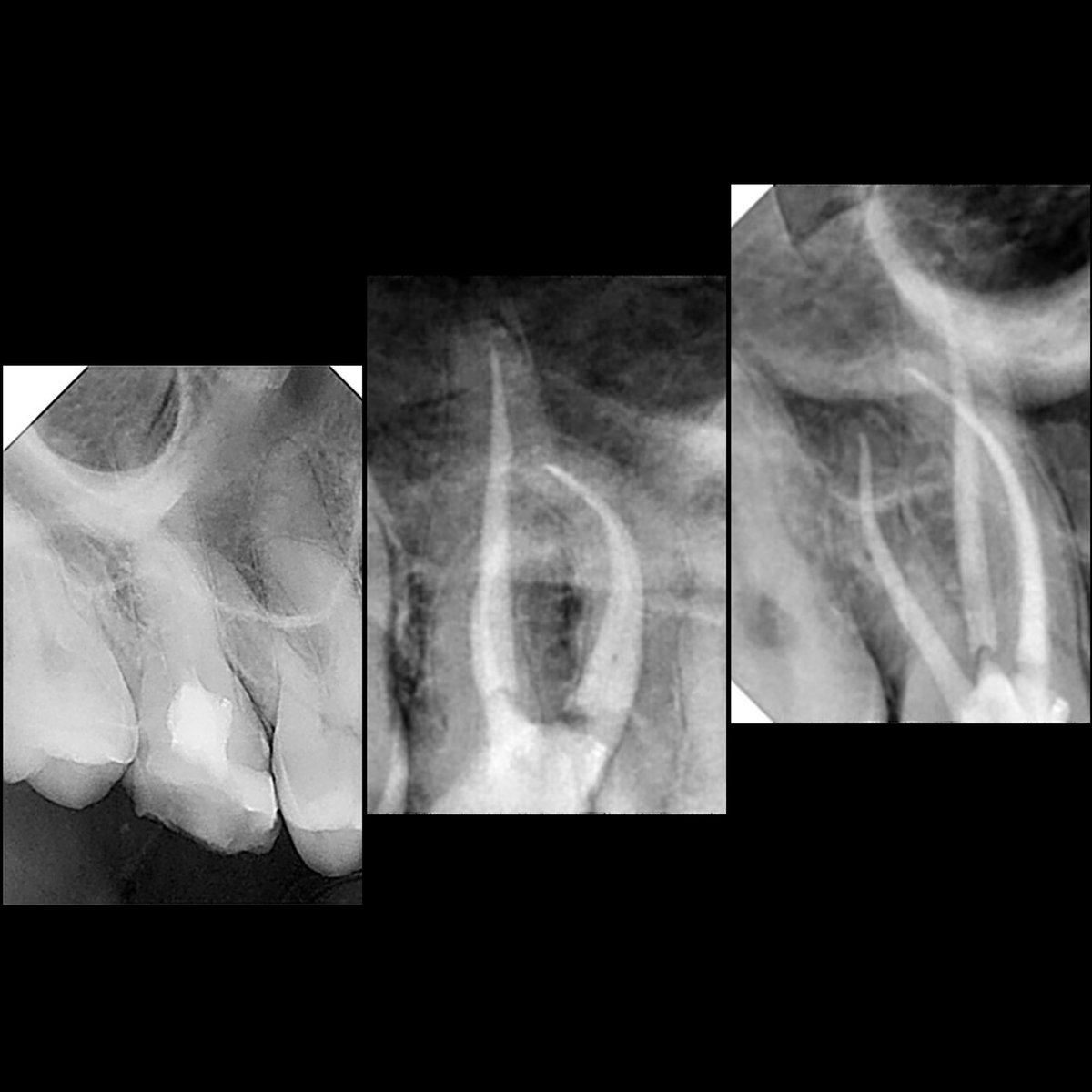 ذعار القحطاني tweet media