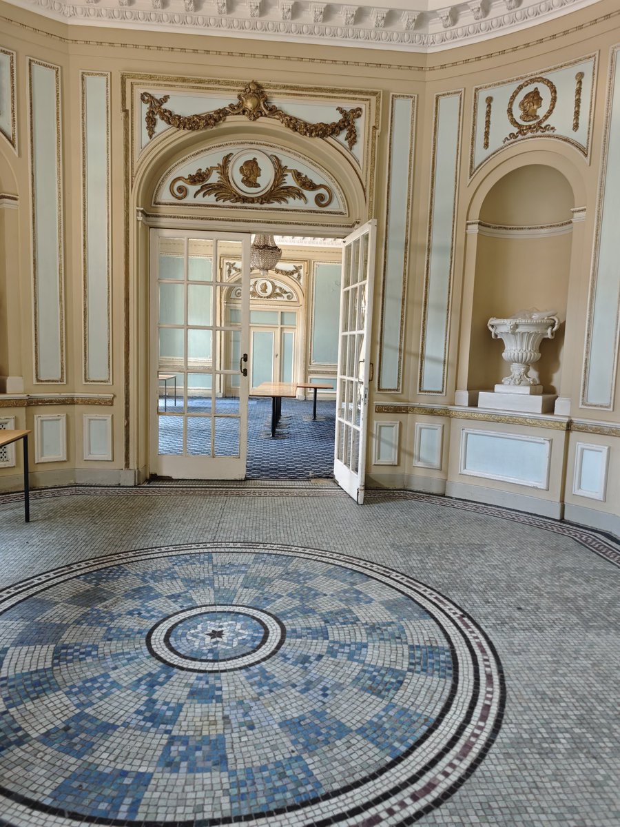 Michael Sun MPL tweet media