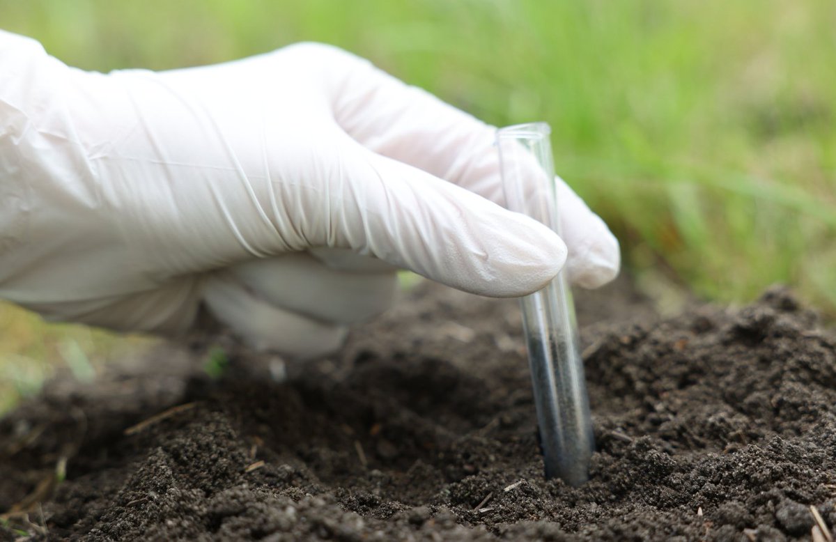 UkSoil's tweet image. 🌱 Standard Contamination Test 🌱
Our Standard Contamination Test digs deep into your soil to identify potentially harmful elements, including heavy metals like lead, cadmium, arsenic, plus hydrocarbons &amp;amp; even asbestos
🔍 Know your soil. Protect your space
#SafeSoilUK #SoilHealth