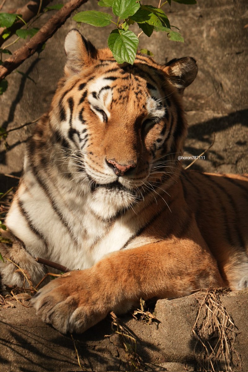 horon787111's tweet image. 金曜日を乗り越えた