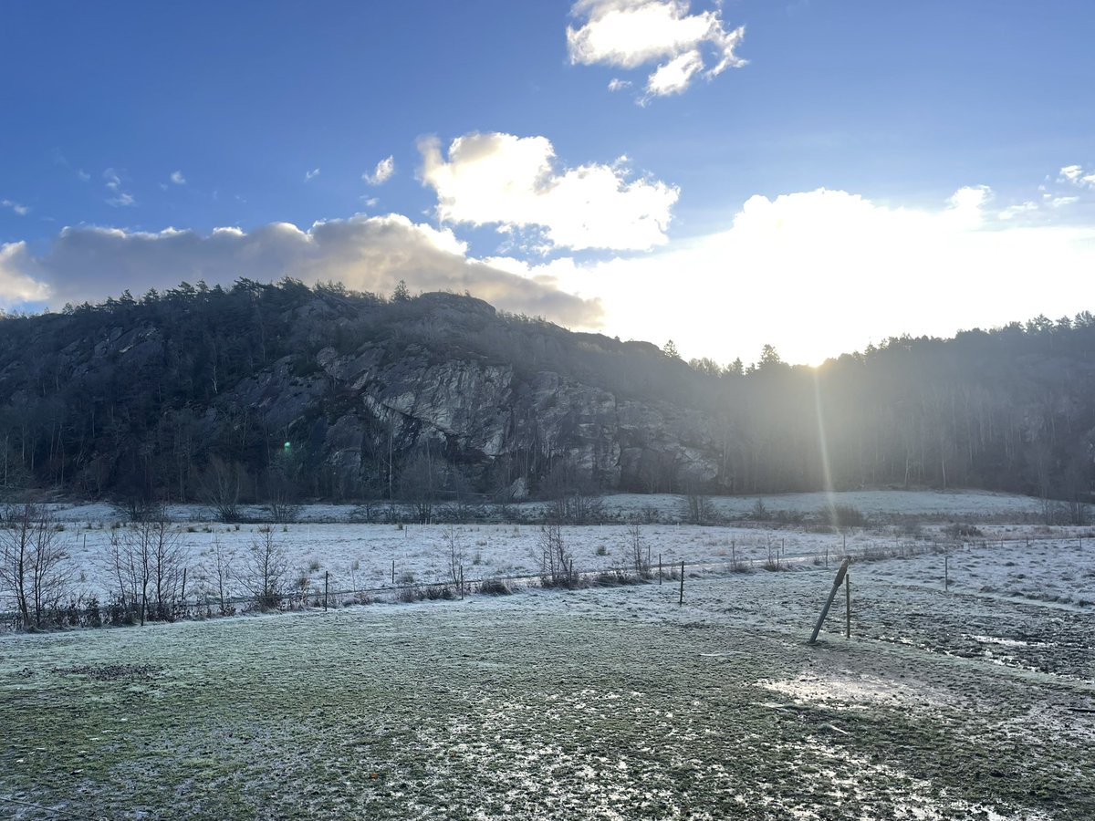 TrollKingXPX's tweet image. Good morning tribe 🧌
The sun is back after 7 days of rain ☀️