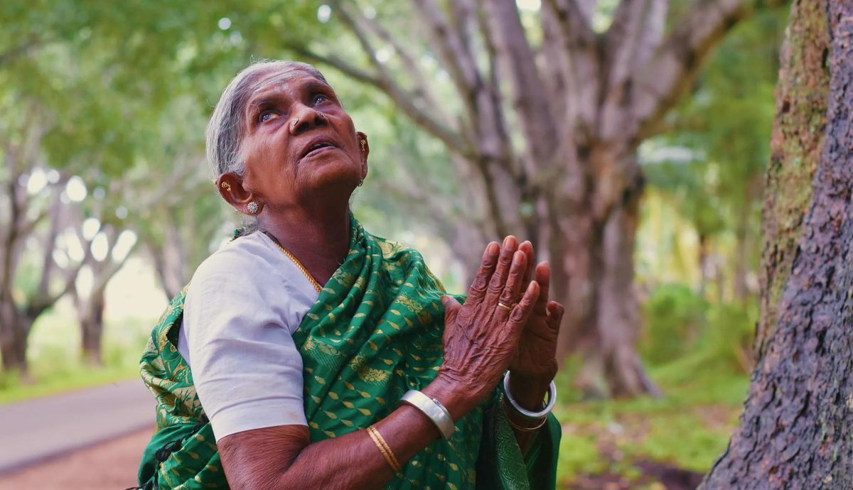 sudeep_mg's tweet photo. The woman who cared trees like her own Children and passed away on Children's day.

ಓಂ ಶಾಂತಿ 🪔
#salumaradathimmakka https://t.co/pybGqdonnW