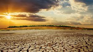 In publishing, nothing is set in stone until a book is in the shops

So, the title - or at least subtitle - of my next book has been tweaked a little

It is now: THE FATE OF THE WORLD: A HISTORY AND FUTURE OF THE CLIMATE CRISIS

Out in Hbk/ebook next May

Later in pbk