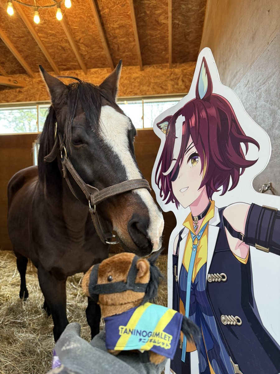 Joseph (@JosephJosk8) / Posts and Replies / X