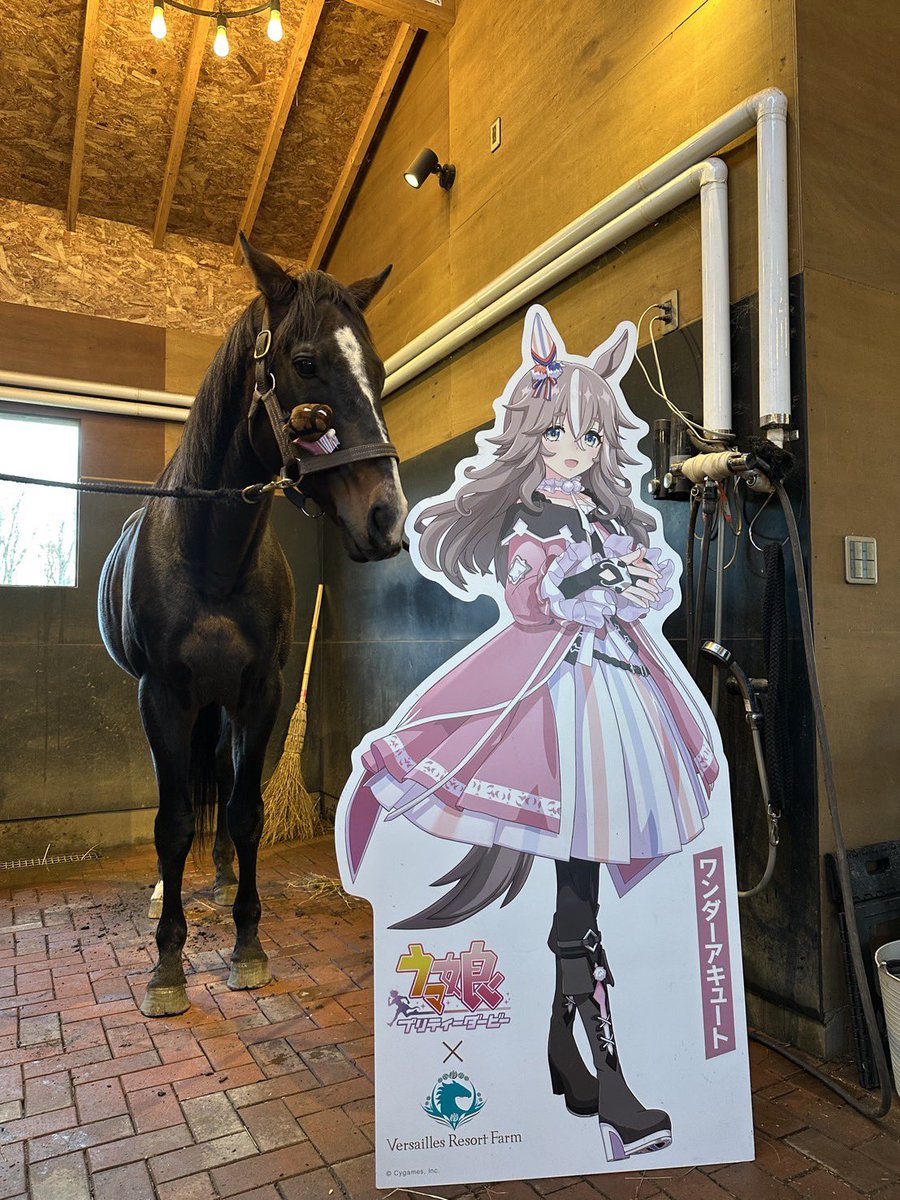 （7月VIP 15%off中） ミックルです❣️0710 Joseph (@JosephJosk8) / Posts and Replies / X