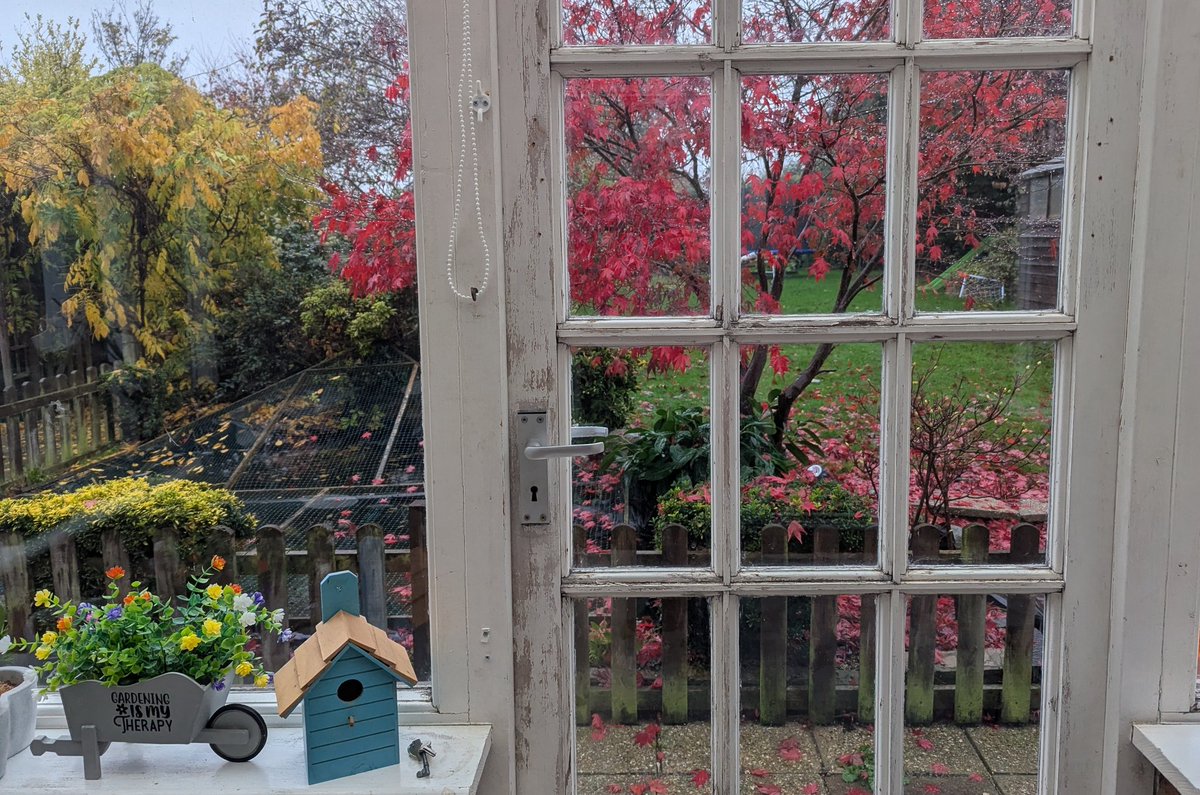 omniscrible's tweet image. This is my view from my writing desk. 

I need to be able to stare into space when I get stuck, but whitout the distractions of people and cars. 

Where do you write? 

#amwriting
#Neurodiversity
#WritingCommunity