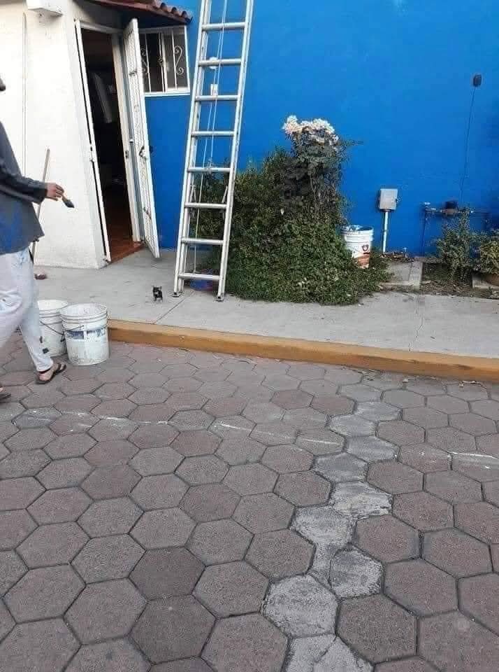 Cuidado con el Perro