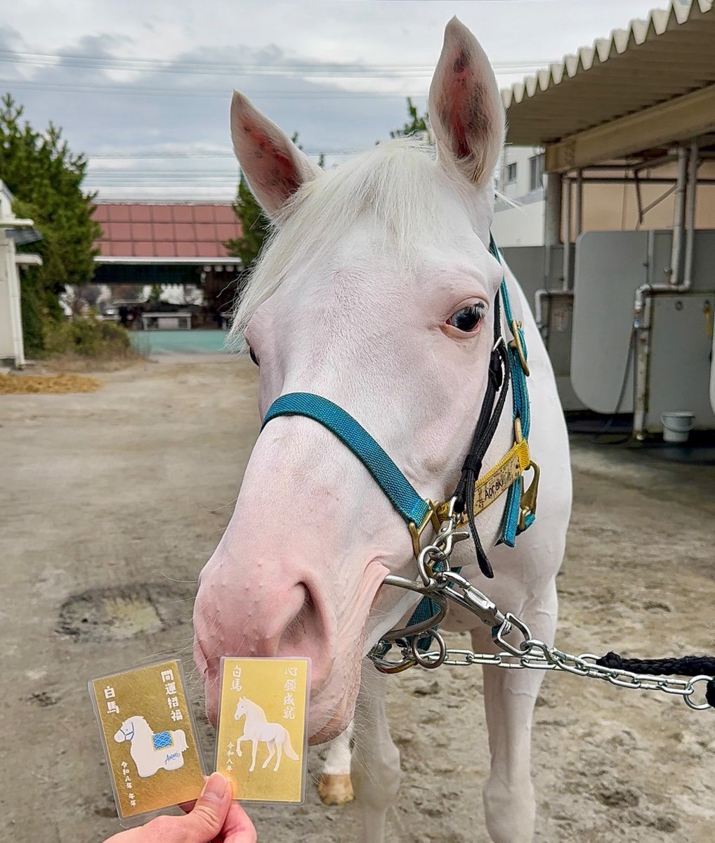 紗兎𖡿ソダシちゃん🦄ずっと大好き🩷 (@Sds2451) / Posts / X