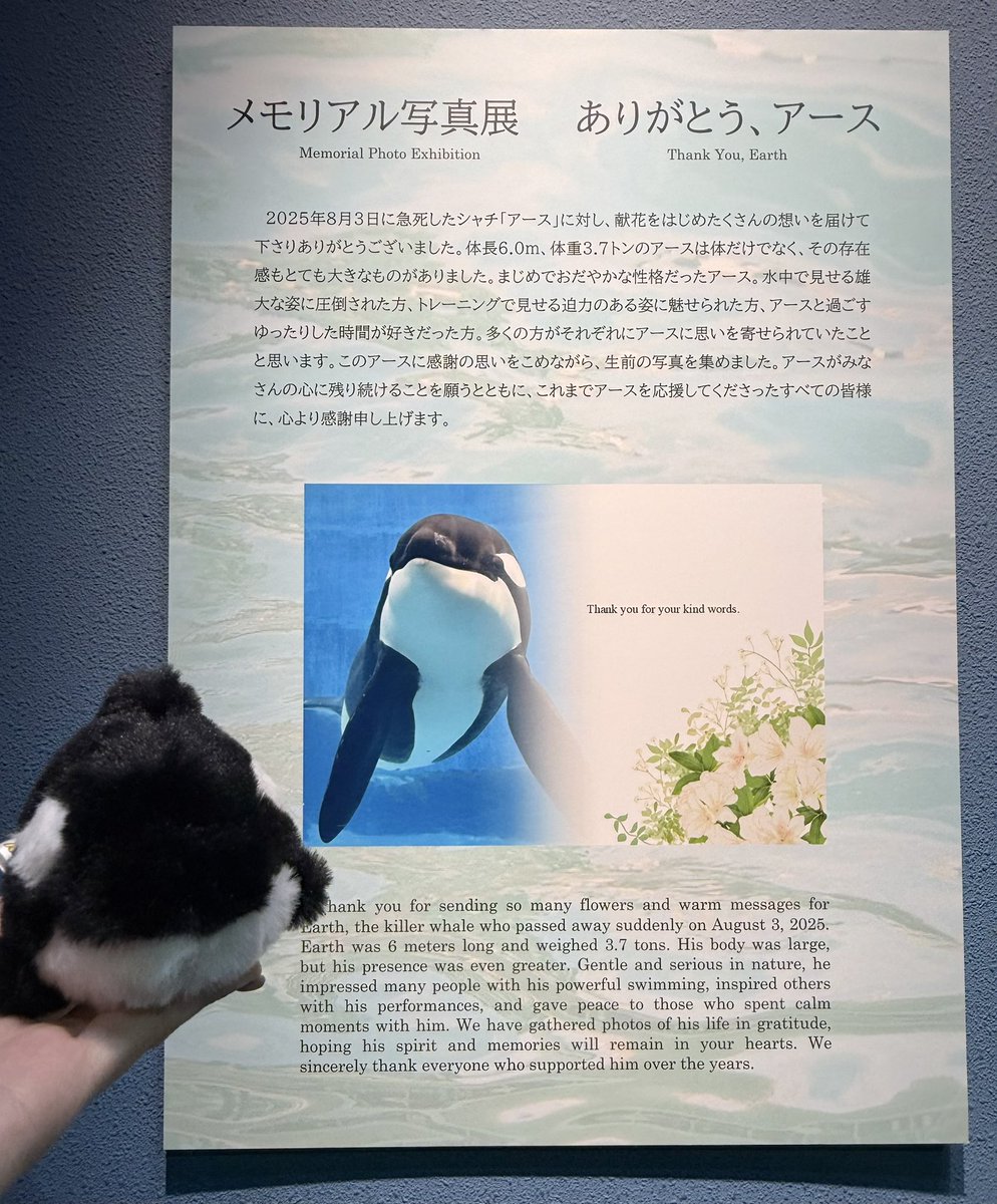 この場でまじまじと見たら号泣してしまうからパッと撮ってたけど、自然と泣いてました…素敵なお写真で溢れていました…
写真展開催してくださり本当にありがとうございます😢