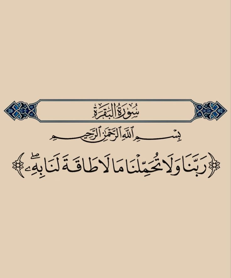 د.رزان العيوطي (@razanalauti) on Twitter photo 