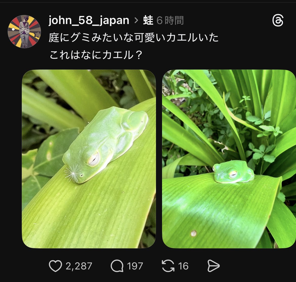 john_mjs's tweet image. Twitterいいね0に対してThreadsそこそこバズってて草
 #Threads